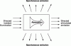 Figure 6 - Representation of the evolution of a population in an inverted state