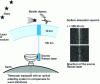 Figure 25 - Project to create an artificial star by pumping sodium atoms concentrated in a 10 km layer to around 100 km around the Earth.