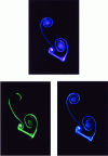 Figure 18 - Hydrodynamic flow around an incident plate. Simultaneous visualization of 3 neighboring planes using polychromatic laser sheets and electrolytic seeding (doc. LEA - Sillages group)