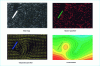 Figure 21 - Hydrodynamic flow around a profile. Visualization using solid tracers and rendering of velocity field and current function (doc. LEA - Sillages group).