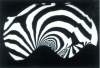 Figure 10 - Interferogram obtained in a shock tube using the Mach-Zehnder interferometer described in figure , showing the propagation of a plane shock wave over a sinusoidal terrain profile (doc. ISL).