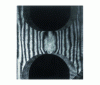 Figure 15 - Use of the previous hologram by differential interferometry in polarized light. Fine-tuning the electrodes (doc. ISL)