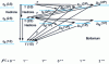 Figure 11 - Bottonium states