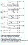 Figure 10 - Layered model state sequence