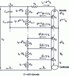 Figure 20 - Currents in a photomultiplier and its supply chain