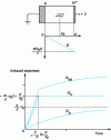 Figure 30 - Signal induced by the displacement of electron-hole pairs in a PN junction