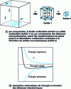 Figure 1 - Action of pressure (according to )