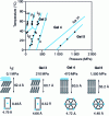 Figure 15 - Phase diagram (T, P) of the phospholipid DPPC in water and diagrams of lamellar units and stacking of certain phases (from )