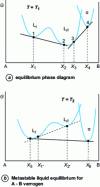 Figure 16 - Free enthalpy diagrams corresponding to the phase separation shown in Fig. 