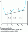 Figure 18 - Free enthalpy diagram for the demixing phenomenon in homogeneous glass