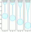 Figure 2 - Liquid ligament rupture for different liquid flow rates (1; 5; 15 and 25 ml/min) – (Wilkes et al.)