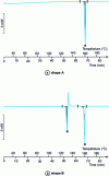 Figure 10 - Thermogram of the A and B forms of the M molecule