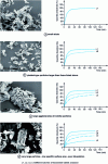 Figure 16 - Electron microscopy of four batches of furosemide and dissolution kinetics of tablets from these four batches in aqueous medium at pH = 4.6.