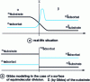 Figure 4 - Variation of concentrations near a surface in the case of adsorption