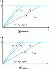 Figure 10 - Isothermal and isobaric networks obtained when the reactive solids are thin plates, in the external interface regime