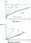 Figure 13 - Allure of isothermal networks...