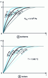 Figure 5 - Examples of isothermal and isobaric networks