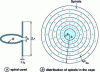 Figure 7 - Spirals used by S. Tretyakov in his cape and their distribution