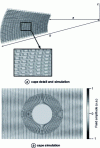 Figure 8 - Detail of the invisibility cloak proposed by IEF and simulation of the actual cloak [9].