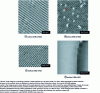 Figure 13 - NC-AFM images taken at room temperature of NaCl(100) and KCl(100) surfaces