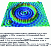 Figure 27 - STM image of standing waves associated with interference in the Shockley state of Cu(111)