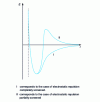 Figure 16 - Interaction energy E between two colloidal particles at a distance r from each other