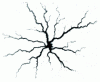 Figure 24 - Electrical breakdown of a circular insulator (2 mm thick glass plate), between a central anode and the circular cathode surrounding the dielectric [photograph: L. Niemeyer].