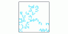 Figure 6 - Disordered Vicsek fractal of fractal dimension log(5)/log(3), at iteration n 5