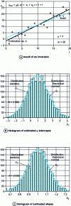 Figure 5 - Inversion test based on N = 2,000 inversions of simulated measurements, straight line model