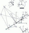 Figure 30 - Diagram and parameterization of the bicycle model