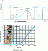 Figure 14 - Effect of a flame retardant on fire development and heat output