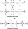 Figure 2 - Termination reactions in free-radical polymerization