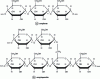 Figure 19 - Chemical structure of amylose and amylopectin