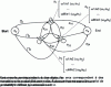 Figure 6 - Representation of a discrete hidden Markov model