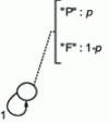 Figure 7 - Example of MMC for a rigged coin toss