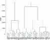 Figure 10 - Distances between cities: example of a dendrogram from CAH data classification with Ward's jump