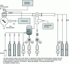 Figure 2 - Shock tube and ARAS coupling to study elementary kinetics