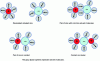 Figure 2 - Different configurations of solvated ions in solution: free ions, ion pairs with or without common solvent molecules, and ion clusters