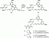 Figure 18 - Cytotrienine synthesis