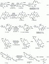 Figure 25 - Synthesis of macrolactones