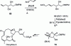 Figure 37 - CM in oocydin A synthesis