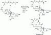 Figure 39 - CM in apoptolidinone synthesis