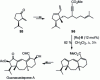 Figure 54 - RCM/RCM in the synthesis of the ...
