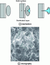 Figure 12 - Impact on a calcium surface