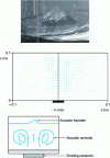 Figure 7 - Ultrasonic fountain and high-frequency induced convection currents