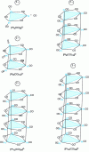 Figure 16 - Representation of the 6 platinum anions [Pt3 (CO)6]2-, [Pt6 (CO)12]2-, [Pt9 (CO)18]2-, [Pt12 (CO)24]2-, [Pt15 (CO)30]2-