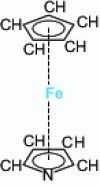 Figure 26 - Representation of the molecule [Fe (C5H5) (NC4H4)]
