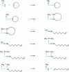 Figure 1 - Olefin metathesis: an industrially developed example; steps detail Chauvin's mechanism