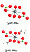 Figure 6 - Uranyl coordination polyhedron