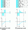 Figure 3 - Surface adsorption: distribution of positive counterions near a negatively charged surface